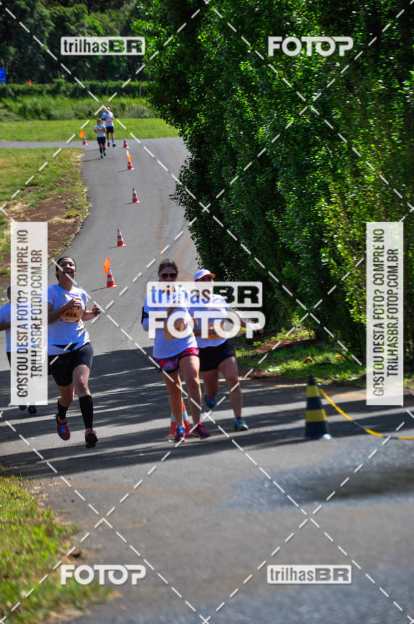 Buy your photos of the eventCIRCUITO DOS VINHEDOS - VINHOS DE ALTITUDE on Fotop