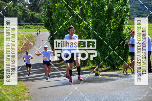 Buy your photos of the eventCIRCUITO DOS VINHEDOS - VINHOS DE ALTITUDE on Fotop