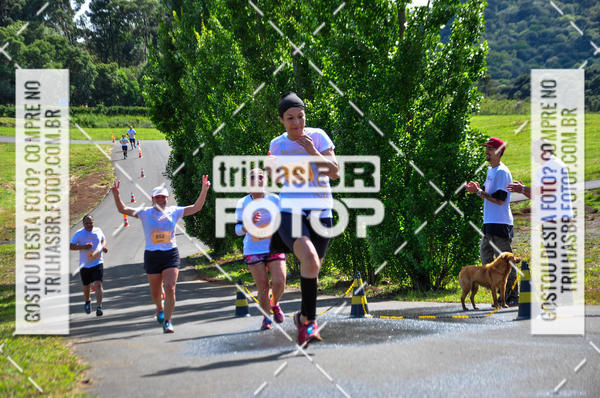 Buy your photos of the eventCIRCUITO DOS VINHEDOS - VINHOS DE ALTITUDE on Fotop