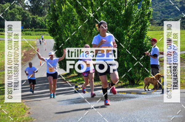 Buy your photos of the eventCIRCUITO DOS VINHEDOS - VINHOS DE ALTITUDE on Fotop