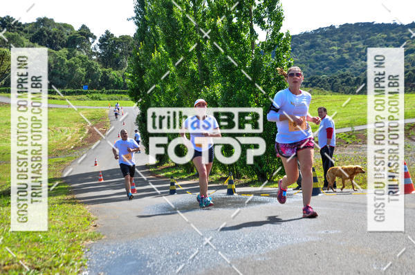 Buy your photos of the eventCIRCUITO DOS VINHEDOS - VINHOS DE ALTITUDE on Fotop