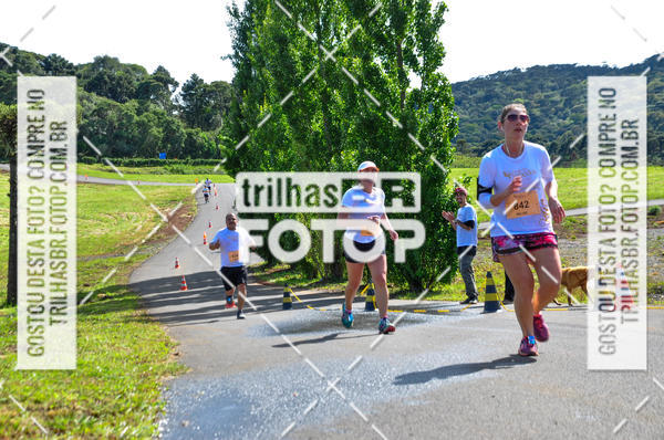 Buy your photos of the eventCIRCUITO DOS VINHEDOS - VINHOS DE ALTITUDE on Fotop