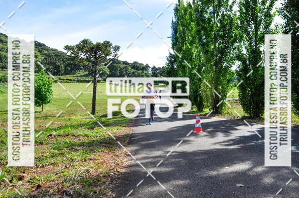 Buy your photos of the eventCIRCUITO DOS VINHEDOS - VINHOS DE ALTITUDE on Fotop