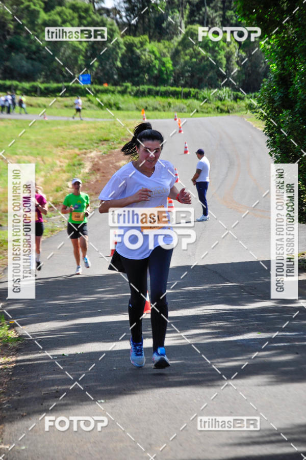 Buy your photos of the eventCIRCUITO DOS VINHEDOS - VINHOS DE ALTITUDE on Fotop