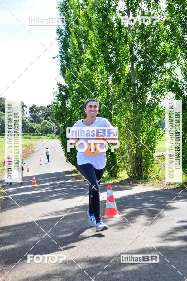 Buy your photos of the eventCIRCUITO DOS VINHEDOS - VINHOS DE ALTITUDE on Fotop