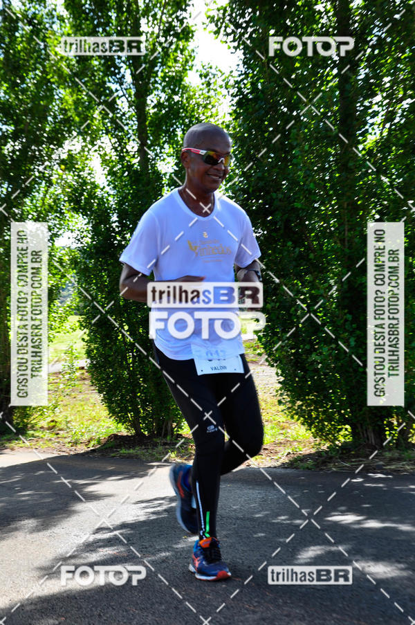 Buy your photos of the eventCIRCUITO DOS VINHEDOS - VINHOS DE ALTITUDE on Fotop