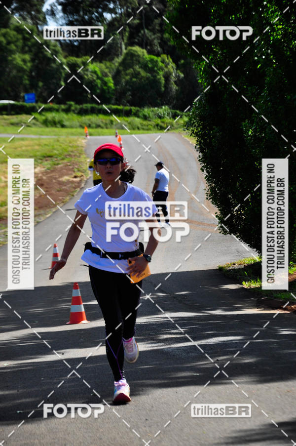 Buy your photos of the eventCIRCUITO DOS VINHEDOS - VINHOS DE ALTITUDE on Fotop