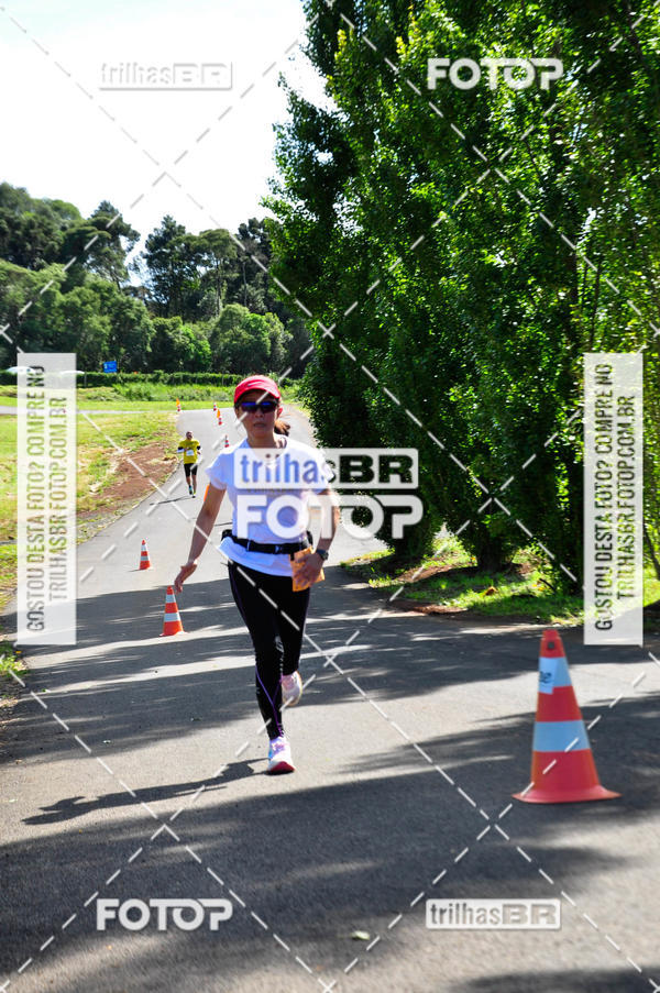 Buy your photos of the eventCIRCUITO DOS VINHEDOS - VINHOS DE ALTITUDE on Fotop