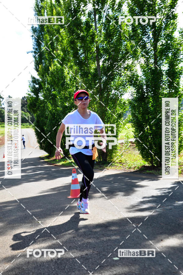 Buy your photos of the eventCIRCUITO DOS VINHEDOS - VINHOS DE ALTITUDE on Fotop
