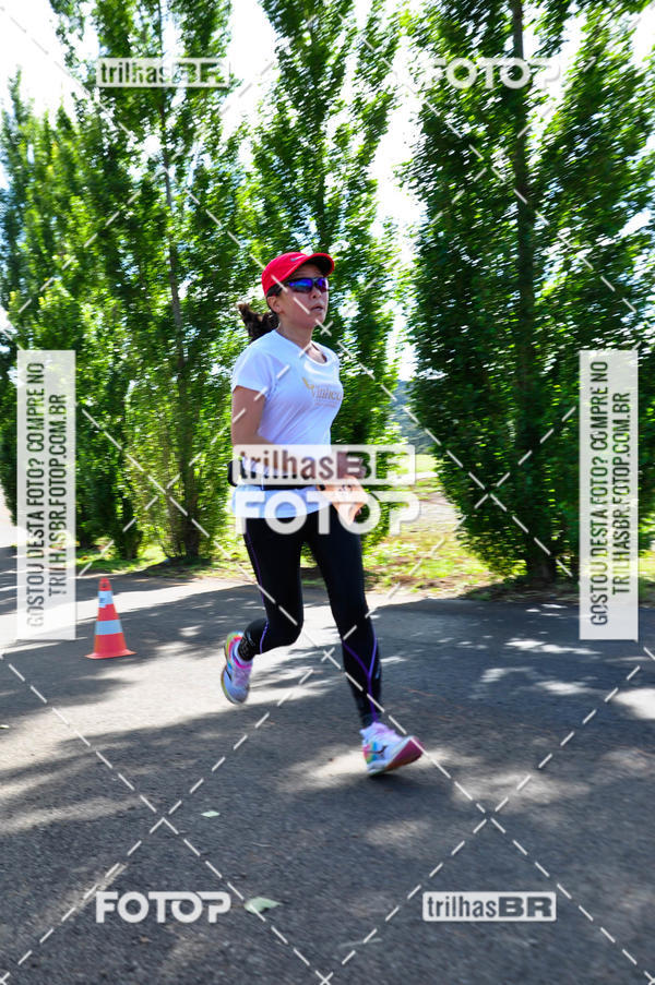 Buy your photos of the eventCIRCUITO DOS VINHEDOS - VINHOS DE ALTITUDE on Fotop