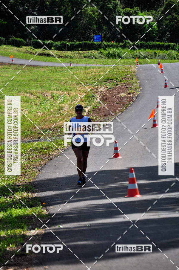 Buy your photos of the eventCIRCUITO DOS VINHEDOS - VINHOS DE ALTITUDE on Fotop