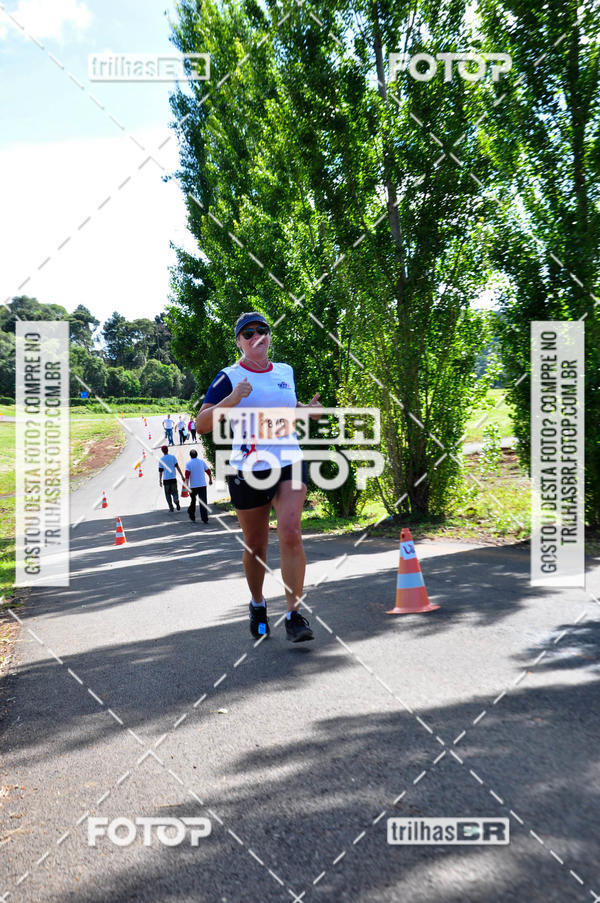 Buy your photos of the eventCIRCUITO DOS VINHEDOS - VINHOS DE ALTITUDE on Fotop