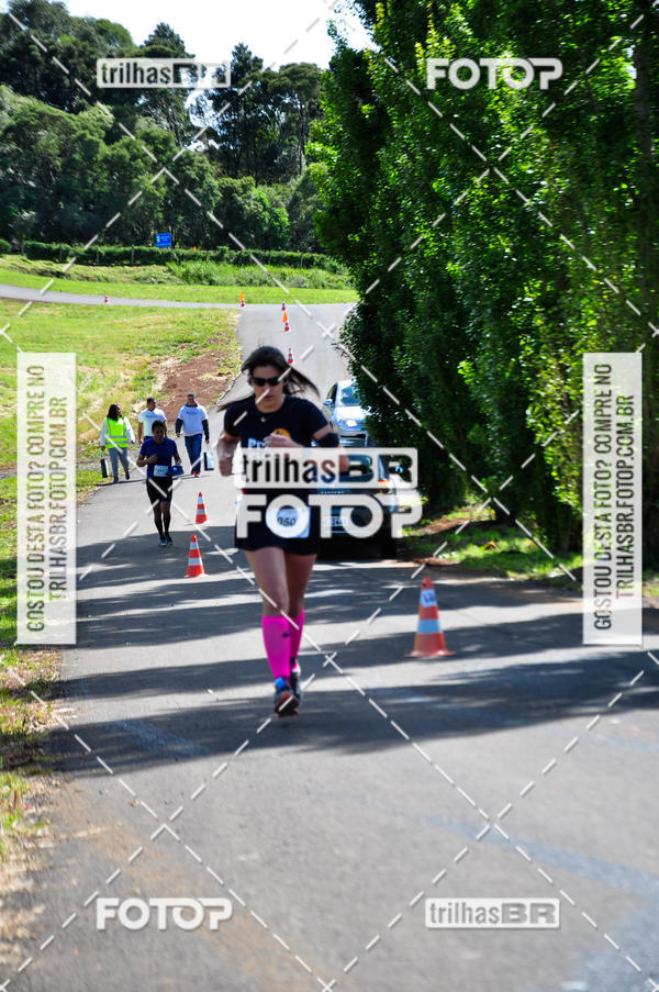 Buy your photos of the eventCIRCUITO DOS VINHEDOS - VINHOS DE ALTITUDE on Fotop