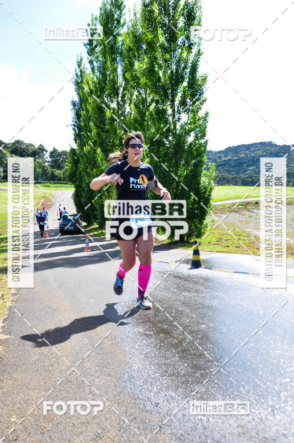 Buy your photos of the eventCIRCUITO DOS VINHEDOS - VINHOS DE ALTITUDE on Fotop