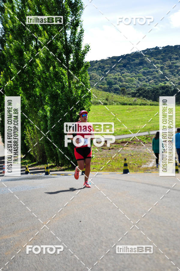 Buy your photos of the eventCIRCUITO DOS VINHEDOS - VINHOS DE ALTITUDE on Fotop