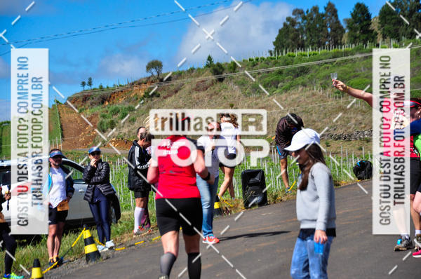Buy your photos of the eventCIRCUITO DOS VINHEDOS - VINHOS DE ALTITUDE on Fotop