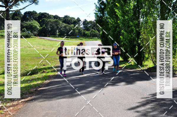 Buy your photos of the eventCIRCUITO DOS VINHEDOS - VINHOS DE ALTITUDE on Fotop