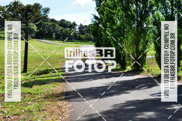 Buy your photos of the eventCIRCUITO DOS VINHEDOS - VINHOS DE ALTITUDE on Fotop