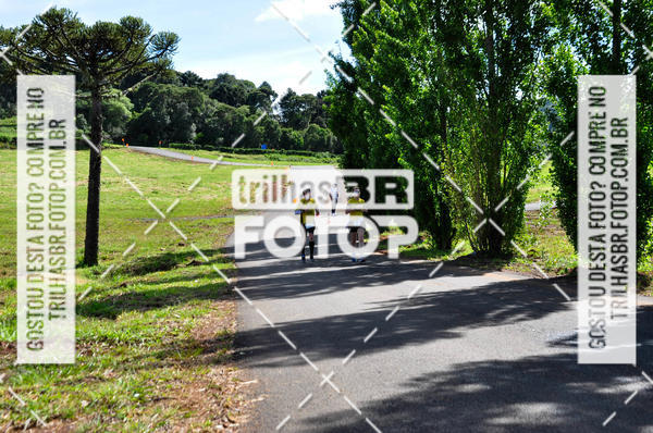 Buy your photos of the eventCIRCUITO DOS VINHEDOS - VINHOS DE ALTITUDE on Fotop