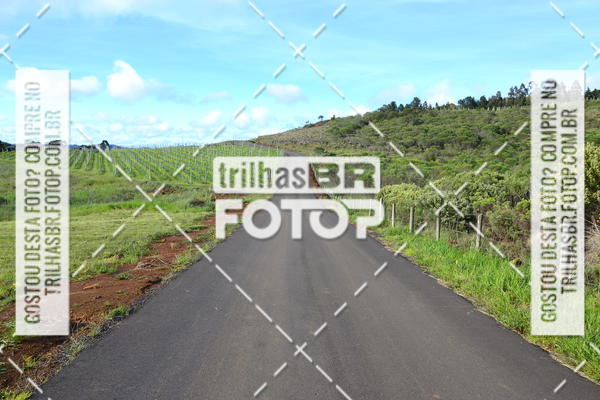 Buy your photos of the eventCIRCUITO DOS VINHEDOS - VINHOS DE ALTITUDE on Fotop