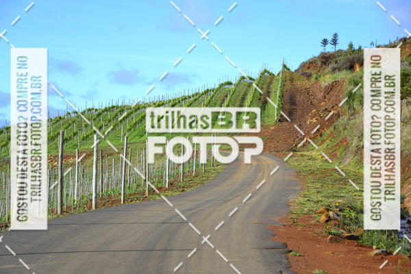 Buy your photos of the eventCIRCUITO DOS VINHEDOS - VINHOS DE ALTITUDE on Fotop