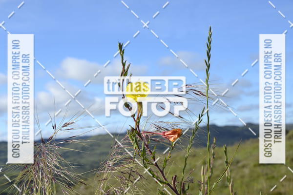 Buy your photos of the eventCIRCUITO DOS VINHEDOS - VINHOS DE ALTITUDE on Fotop