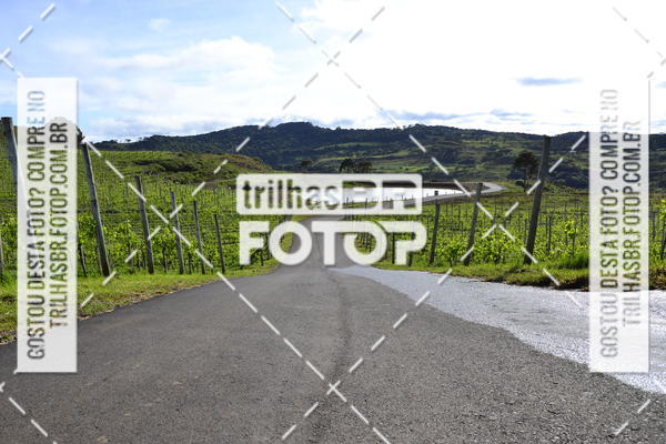Buy your photos of the eventCIRCUITO DOS VINHEDOS - VINHOS DE ALTITUDE on Fotop