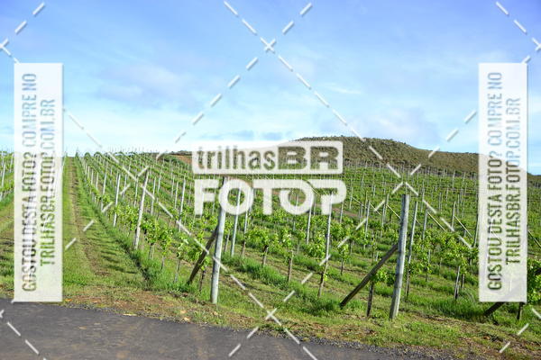 Buy your photos of the eventCIRCUITO DOS VINHEDOS - VINHOS DE ALTITUDE on Fotop