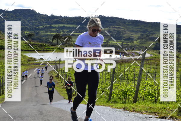 Buy your photos of the eventCIRCUITO DOS VINHEDOS - VINHOS DE ALTITUDE on Fotop