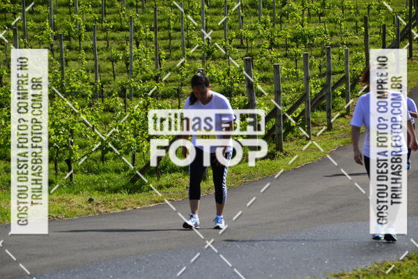 Buy your photos of the eventCIRCUITO DOS VINHEDOS - VINHOS DE ALTITUDE on Fotop