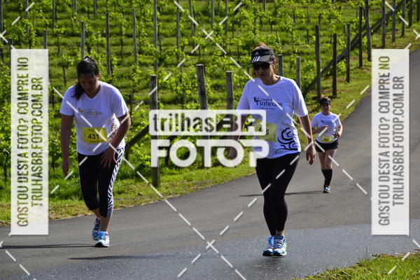 Buy your photos of the eventCIRCUITO DOS VINHEDOS - VINHOS DE ALTITUDE on Fotop