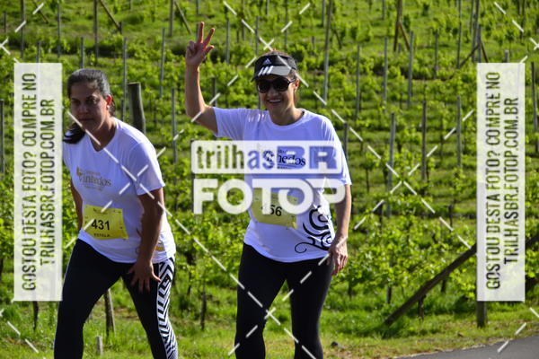 Buy your photos of the eventCIRCUITO DOS VINHEDOS - VINHOS DE ALTITUDE on Fotop