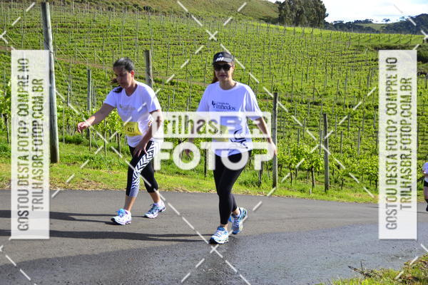 Buy your photos of the eventCIRCUITO DOS VINHEDOS - VINHOS DE ALTITUDE on Fotop