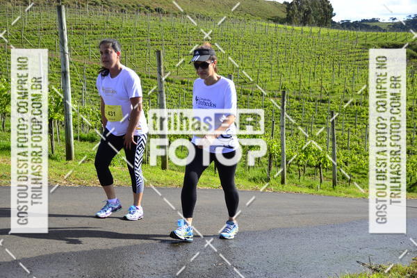 Buy your photos of the eventCIRCUITO DOS VINHEDOS - VINHOS DE ALTITUDE on Fotop