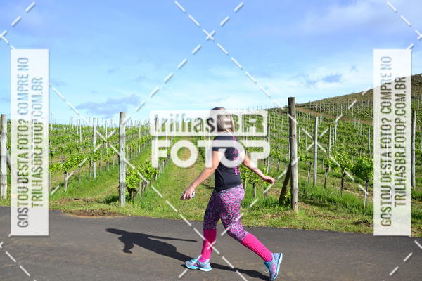 Buy your photos of the eventCIRCUITO DOS VINHEDOS - VINHOS DE ALTITUDE on Fotop