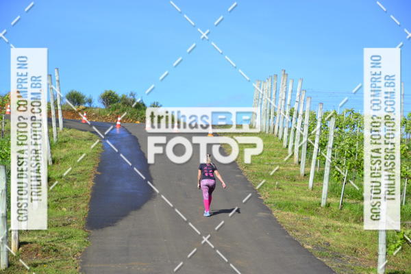 Buy your photos of the eventCIRCUITO DOS VINHEDOS - VINHOS DE ALTITUDE on Fotop