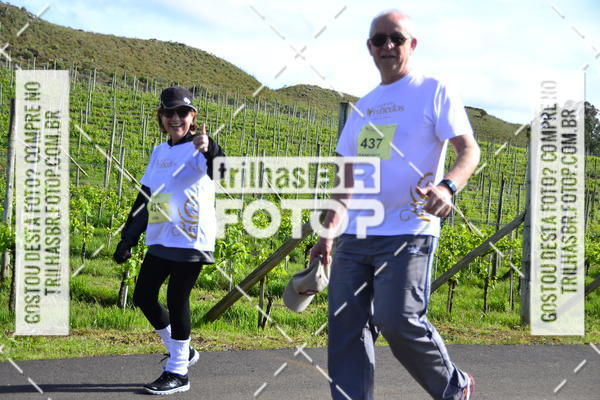 Buy your photos of the eventCIRCUITO DOS VINHEDOS - VINHOS DE ALTITUDE on Fotop