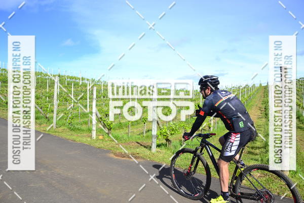 Buy your photos of the eventCIRCUITO DOS VINHEDOS - VINHOS DE ALTITUDE on Fotop