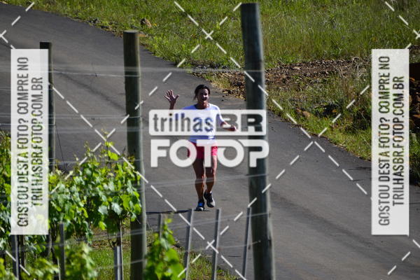 Buy your photos of the eventCIRCUITO DOS VINHEDOS - VINHOS DE ALTITUDE on Fotop