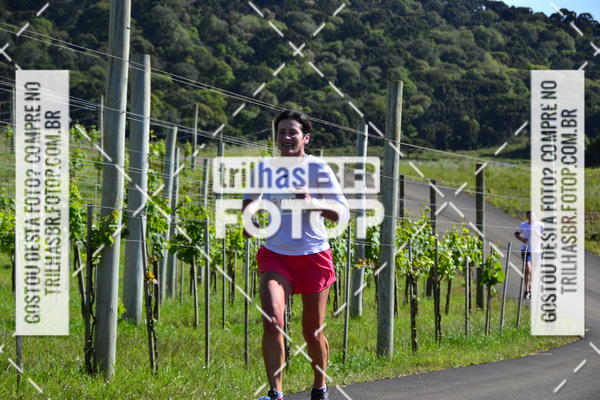 Buy your photos of the eventCIRCUITO DOS VINHEDOS - VINHOS DE ALTITUDE on Fotop