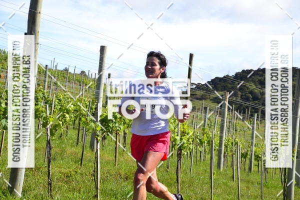Buy your photos of the eventCIRCUITO DOS VINHEDOS - VINHOS DE ALTITUDE on Fotop