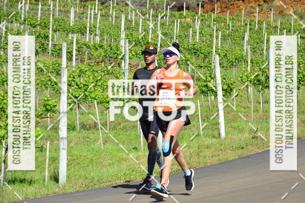 Buy your photos of the eventCIRCUITO DOS VINHEDOS - VINHOS DE ALTITUDE on Fotop