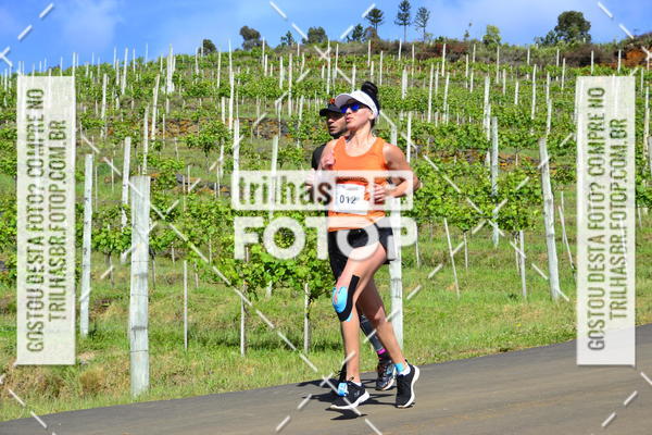 Buy your photos of the eventCIRCUITO DOS VINHEDOS - VINHOS DE ALTITUDE on Fotop