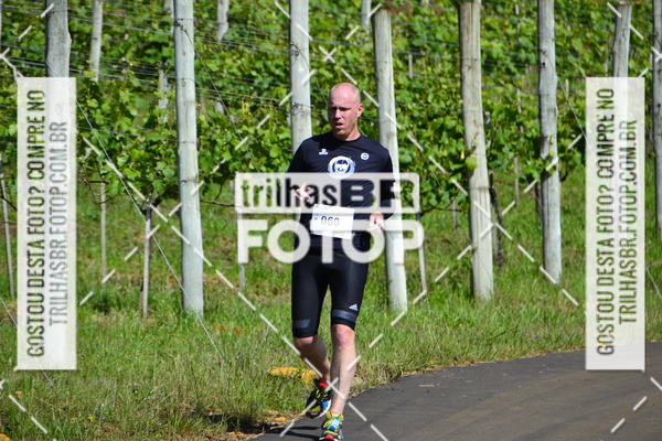 Buy your photos of the eventCIRCUITO DOS VINHEDOS - VINHOS DE ALTITUDE on Fotop