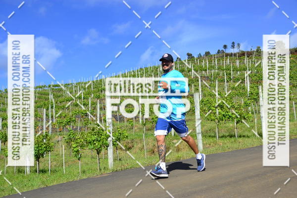 Buy your photos of the eventCIRCUITO DOS VINHEDOS - VINHOS DE ALTITUDE on Fotop