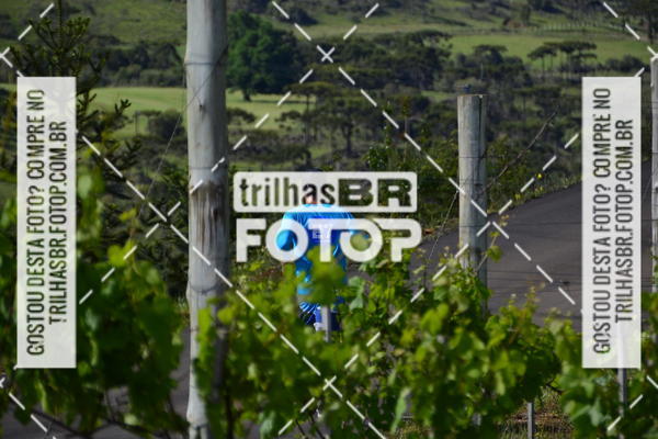 Buy your photos of the eventCIRCUITO DOS VINHEDOS - VINHOS DE ALTITUDE on Fotop