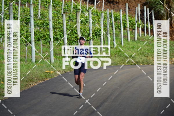 Buy your photos of the eventCIRCUITO DOS VINHEDOS - VINHOS DE ALTITUDE on Fotop