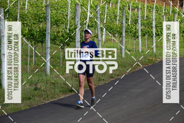 Buy your photos of the eventCIRCUITO DOS VINHEDOS - VINHOS DE ALTITUDE on Fotop