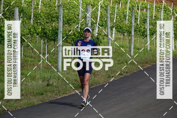 Buy your photos of the eventCIRCUITO DOS VINHEDOS - VINHOS DE ALTITUDE on Fotop