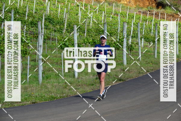 Buy your photos of the eventCIRCUITO DOS VINHEDOS - VINHOS DE ALTITUDE on Fotop